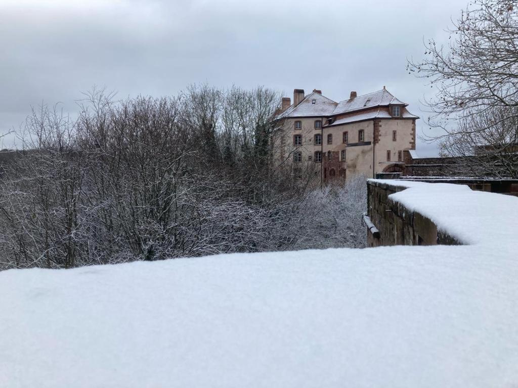 Vila Le Cordonnier Du Staedel La Petite-Pierre Exteriér fotografie